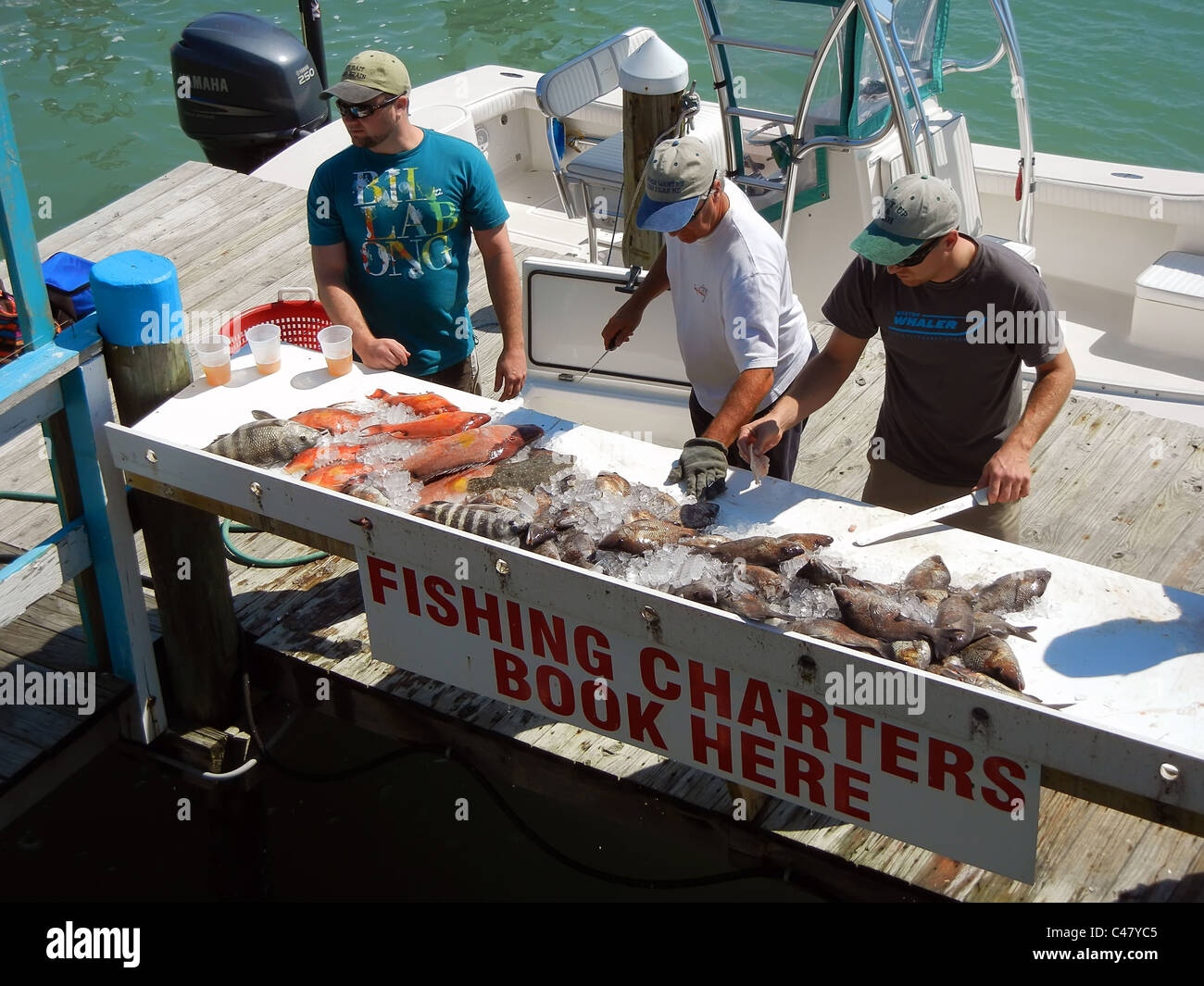 Fishermen clean fish at a table after returning from a charter fishiing trip at John's Pass Florida near St. Pete Beach Stock Photo