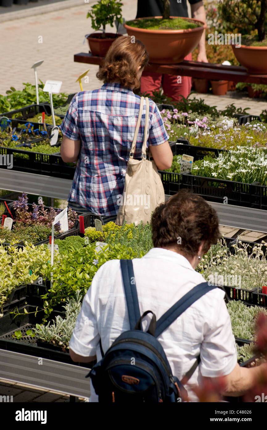 Azalea Garden Centre High Resolution Stock Photography and Images - Alamy