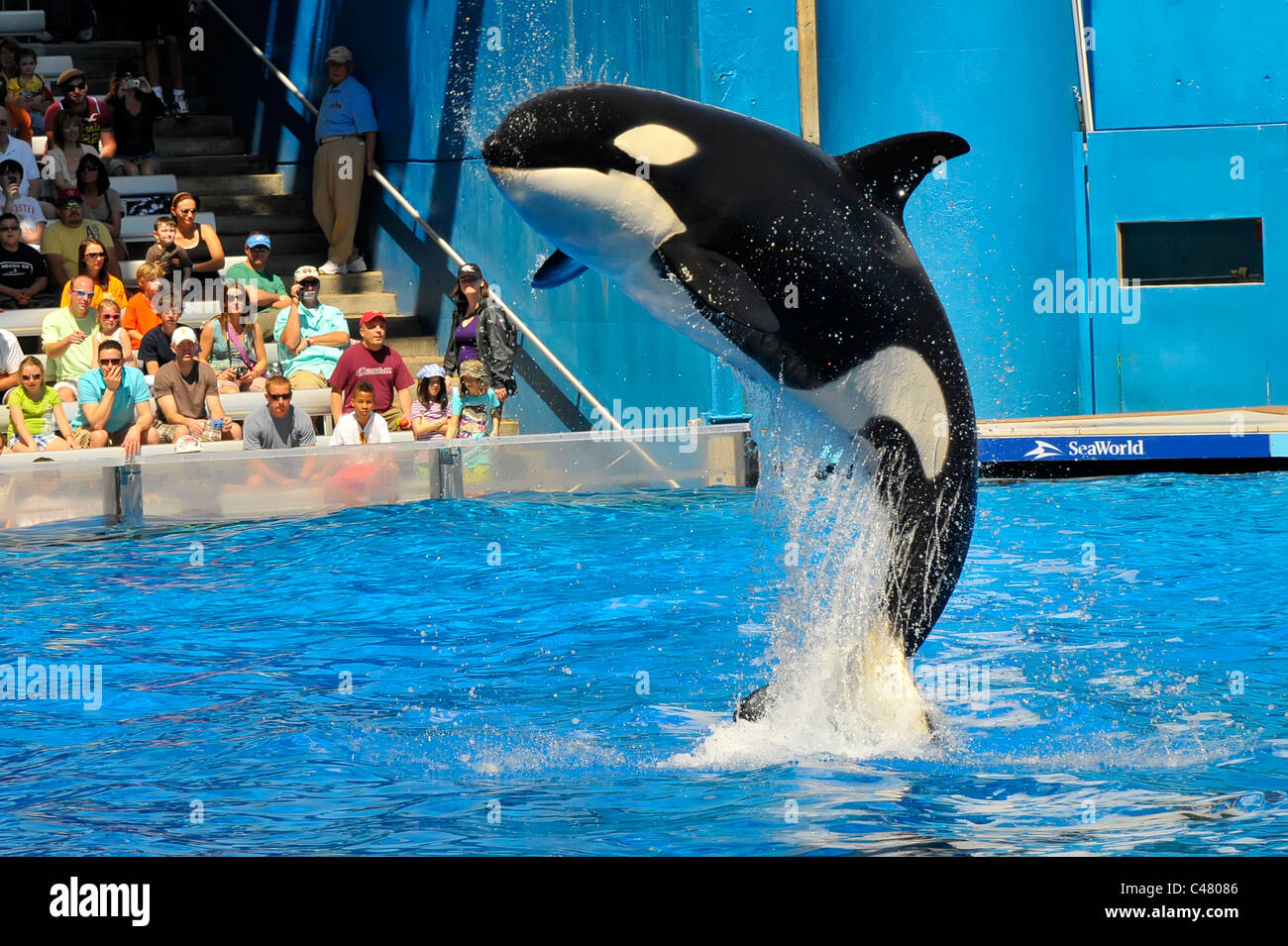 Sea World Adventure Theme Park Orlando Florida Shamu Killer whale Stock Photo