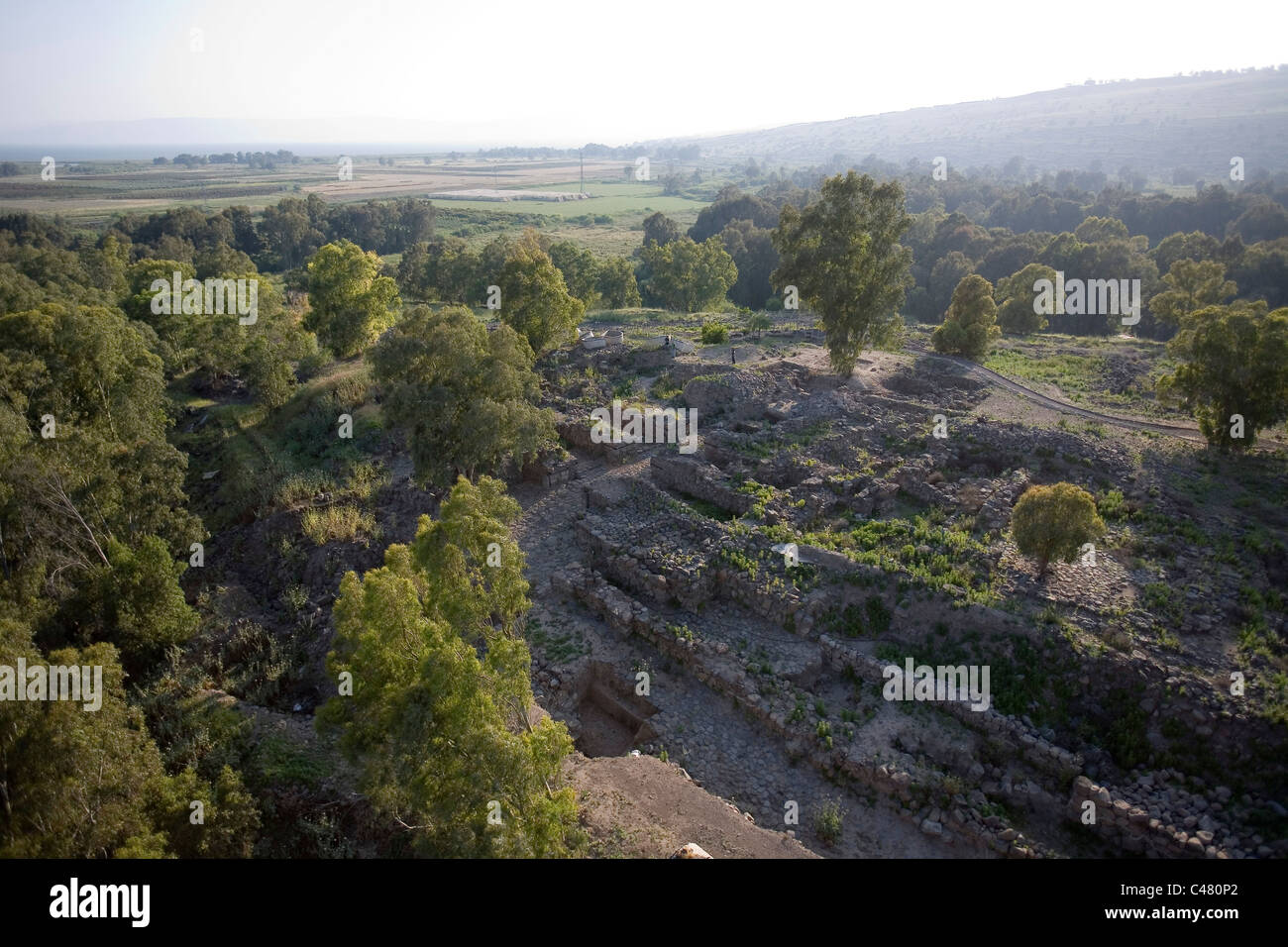 Bethsaida hires stock photography and images Alamy