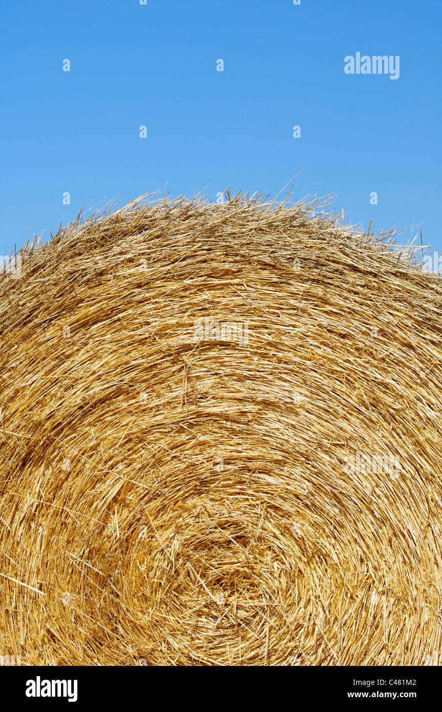 round bale of straw with blue and clear sky Stock Photo - Alamy