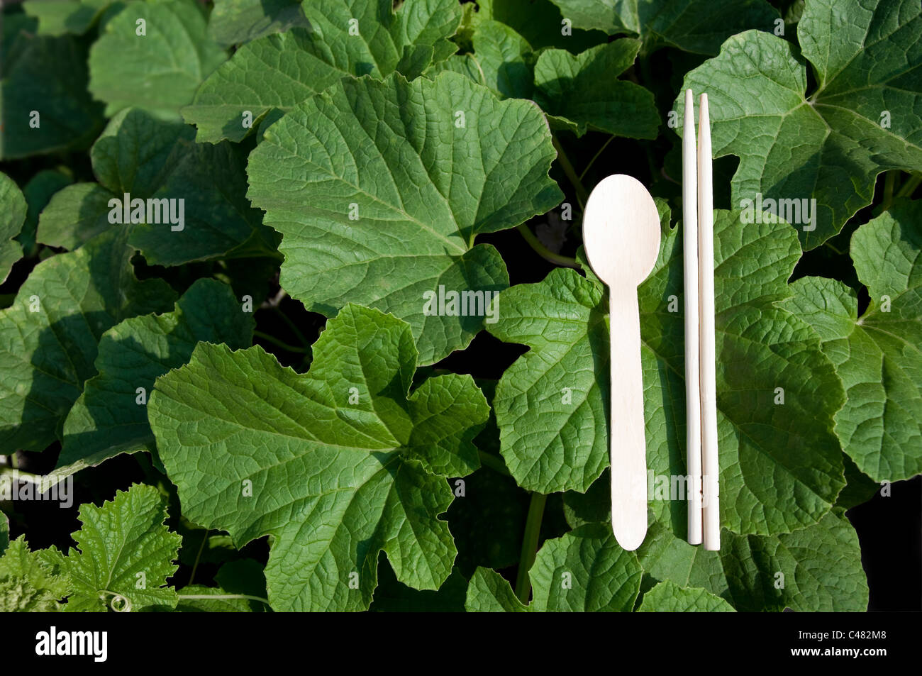 Green Chopsticks and wooden spoons Stock Photo