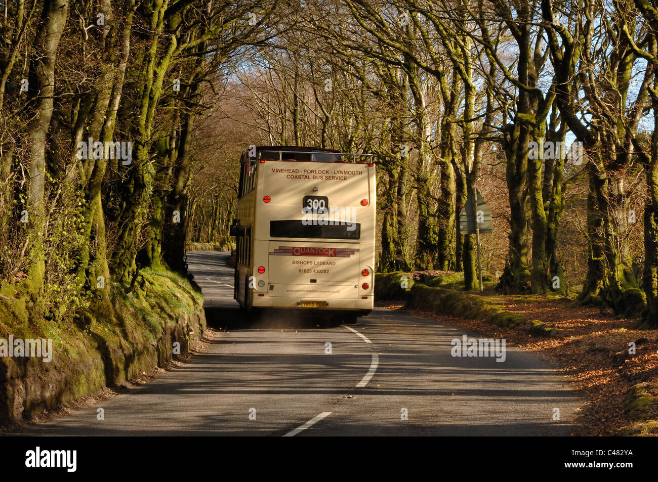 Open top tourist bus on the A39 at Culbone near Porlock Somerset Stock Photo