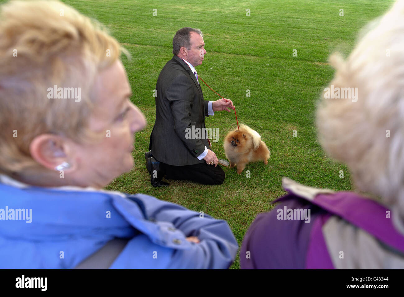 Scottish Dog Show Results 2024 Shir Yvette