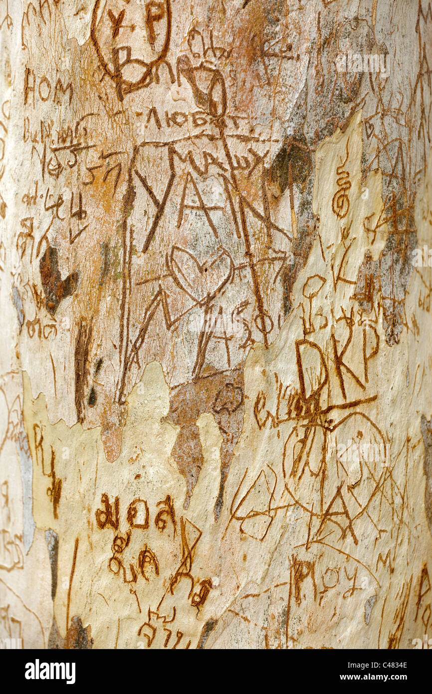 carved tree trunk with writings in thai language and many symbols Stock Photo