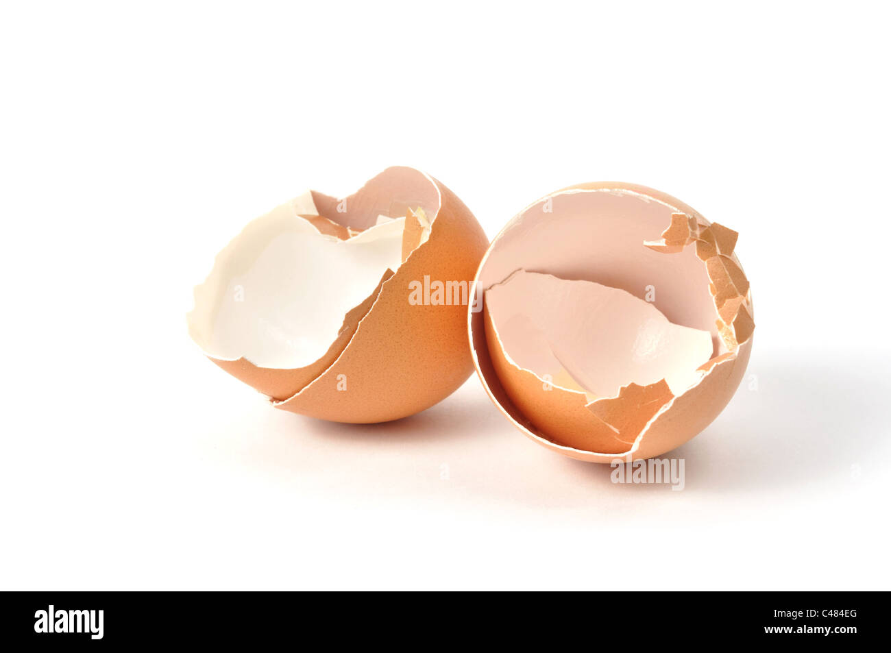 Eggshells Stock Photo