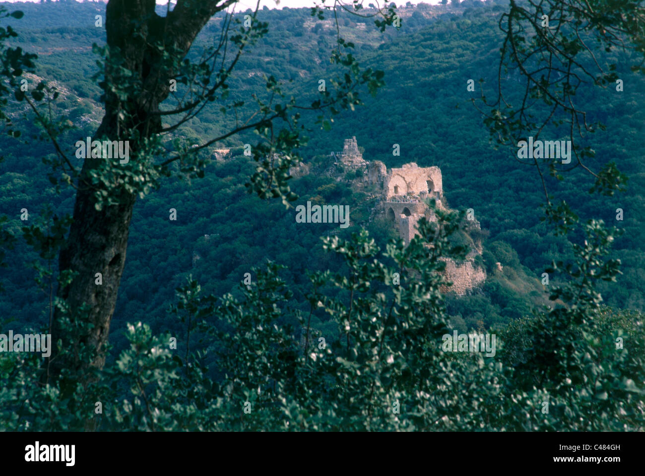Photograph of the Castle of Montfort in the western Galilee Stock Photo