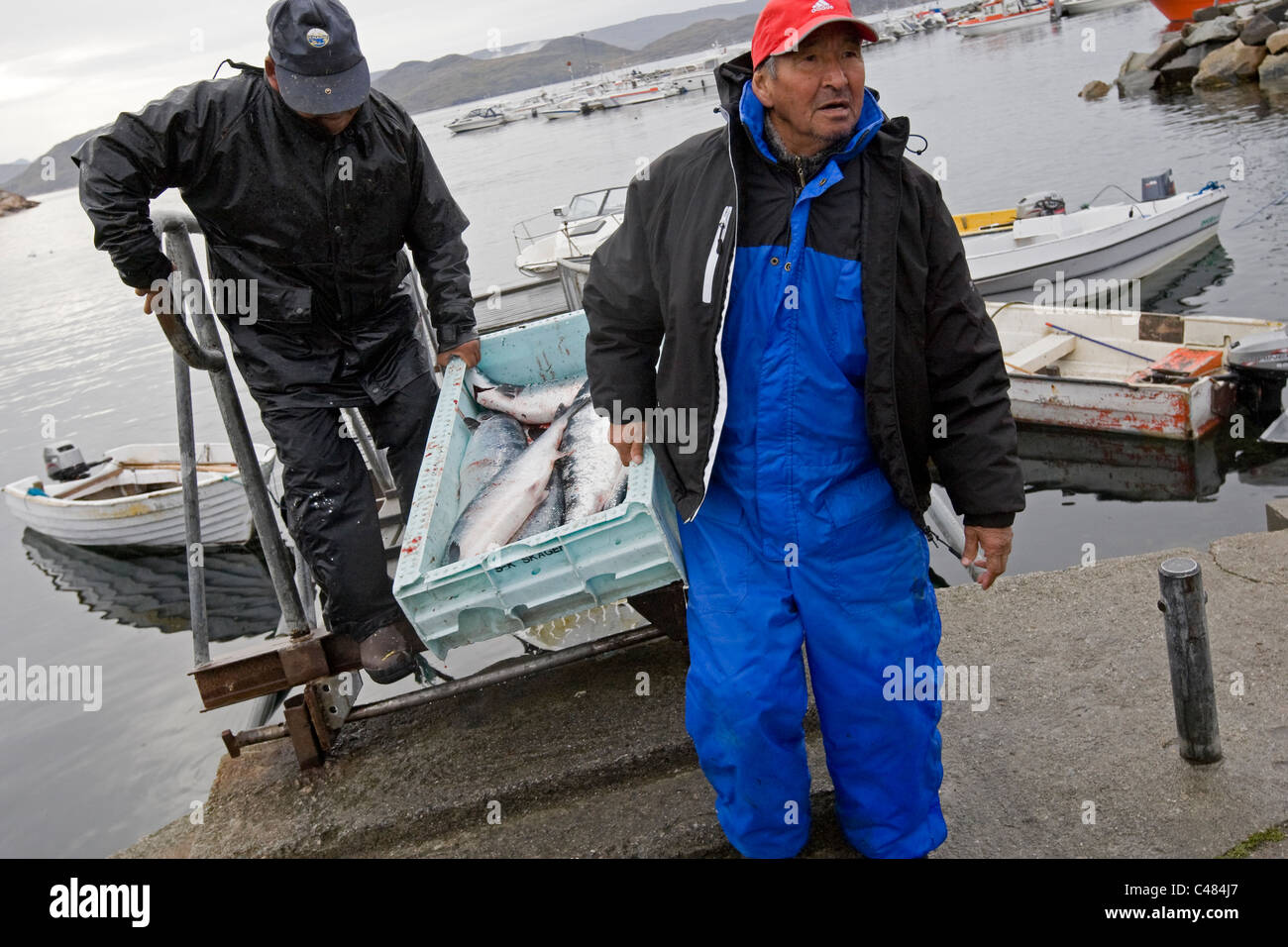 Farmers' Market in Qaqortoq, Greenland Stock Photo Alamy