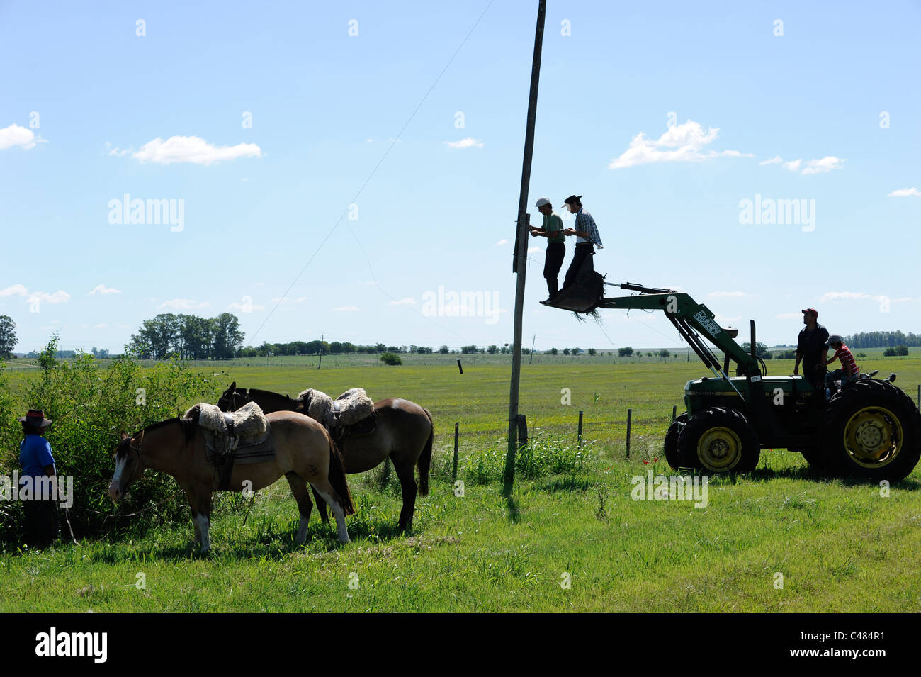 URUGUAY agriculture and livestock , Gauchos with horse and tractor work