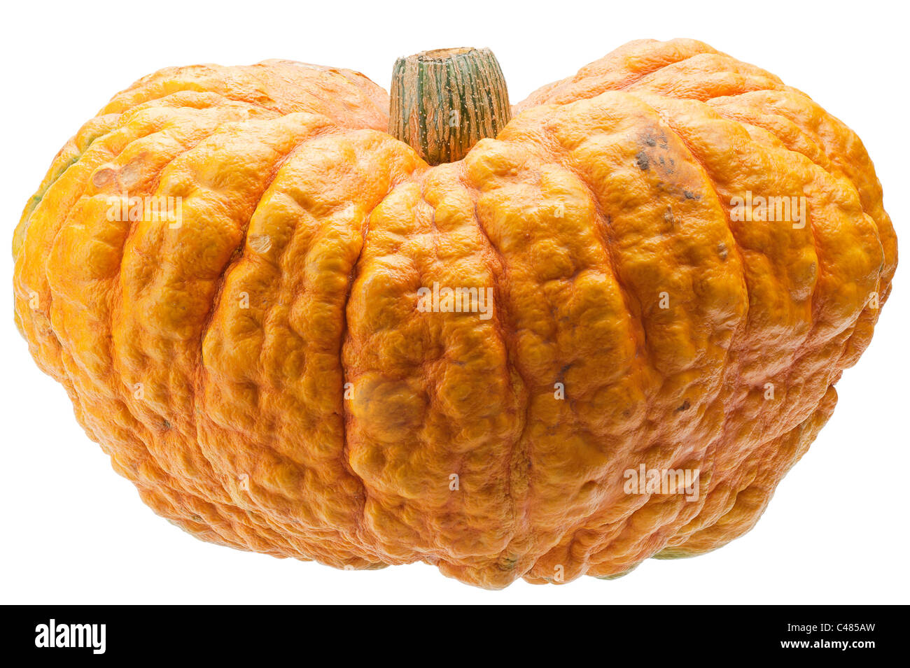 Orange pumpkin isolated on white background Stock Photo - Alamy