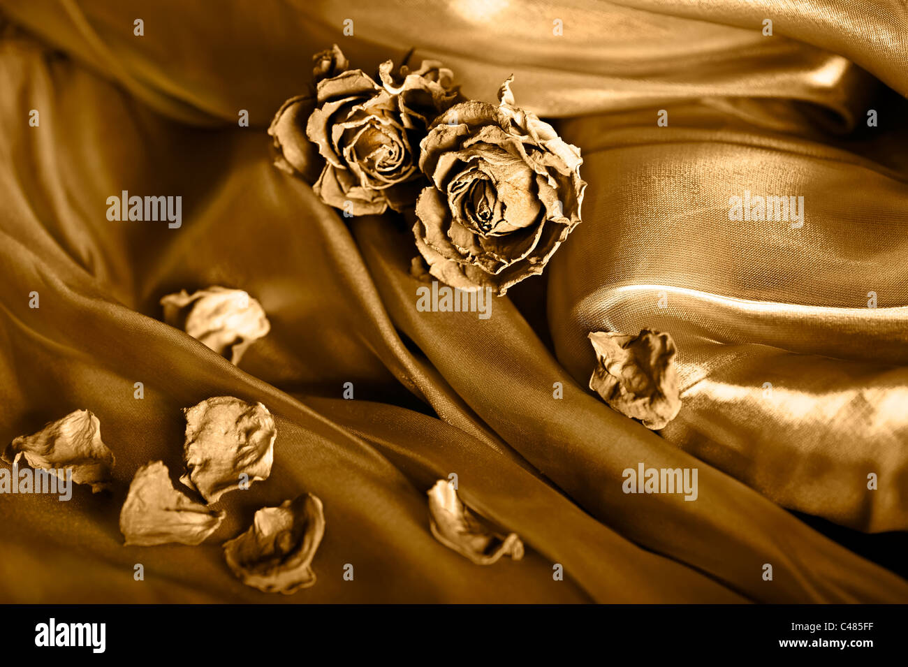 Vintage background: Dry rose on satin. Gold colored image, shallow depth of field Stock Photo