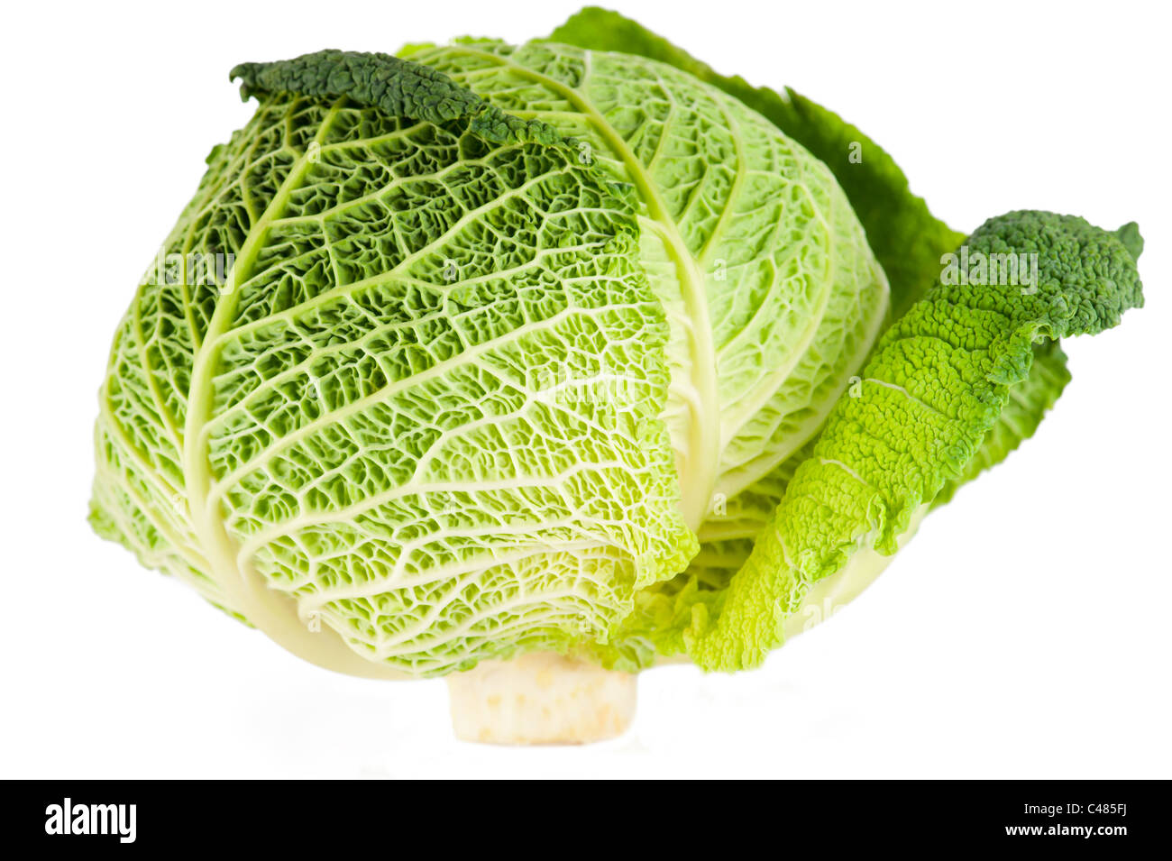 Macro detail of savoy cabbage on white background Stock Photo - Alamy