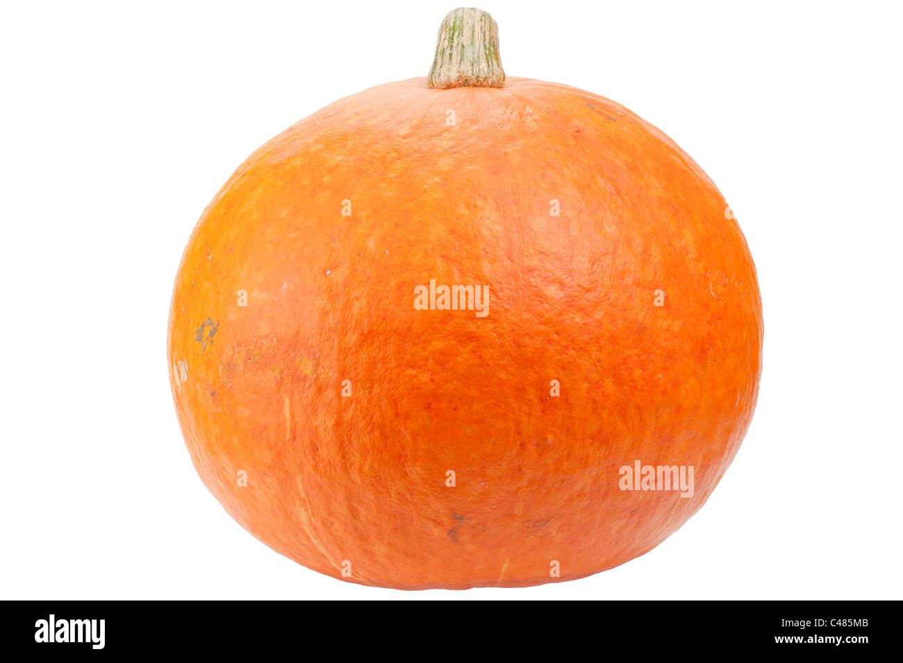 Orange pumpkin isolated on white background Stock Photo - Alamy