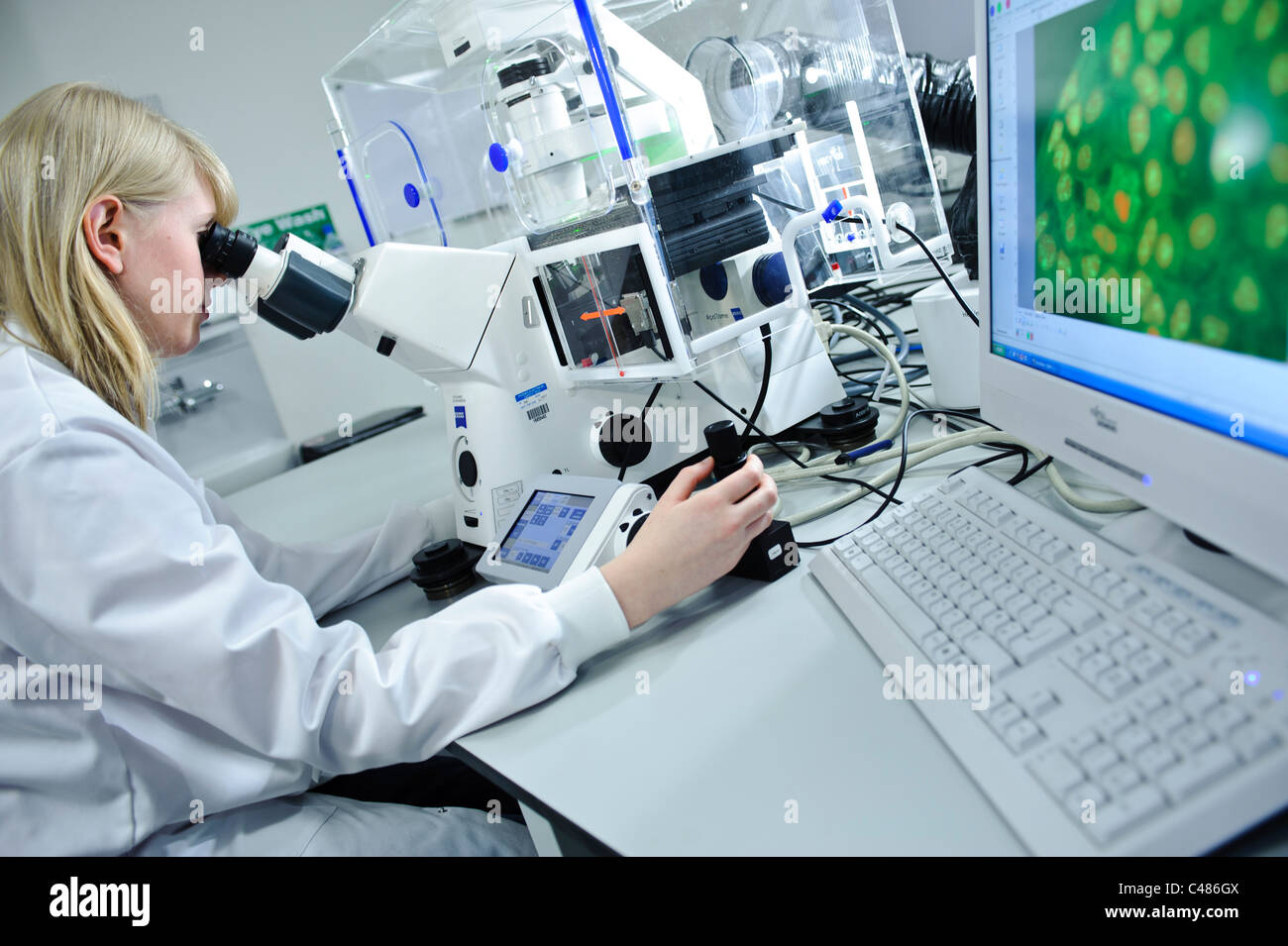 Young blond female scientist white lab coat powerful microscope in well lit science laboratory cell images on computer screen Stock Photo