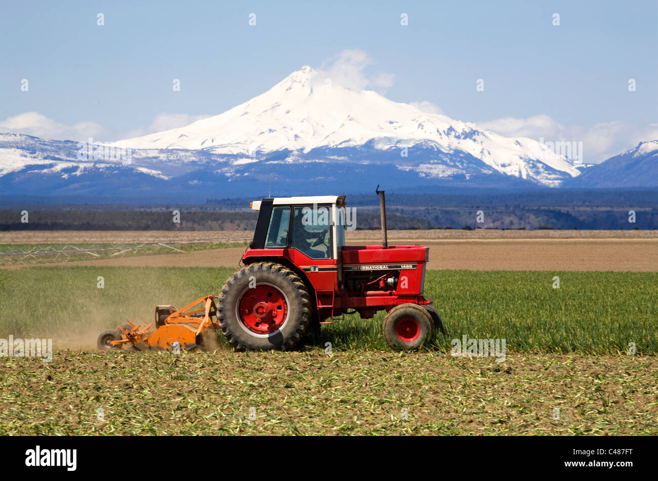 A farm growing garlic and other crops near Madras, Oregon, with Mount