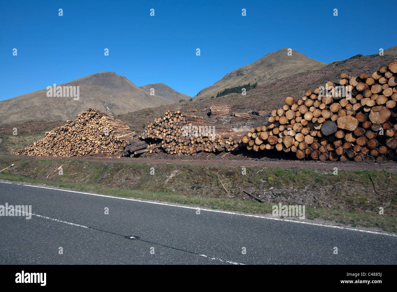 timber in scotland Stock Photo Alamy