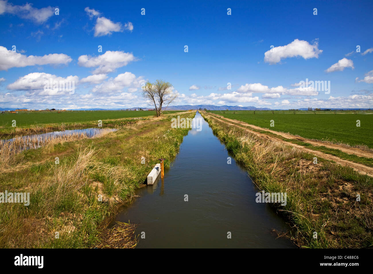 A farm growing garlic and other crops near Madras, Oregon, with Mount