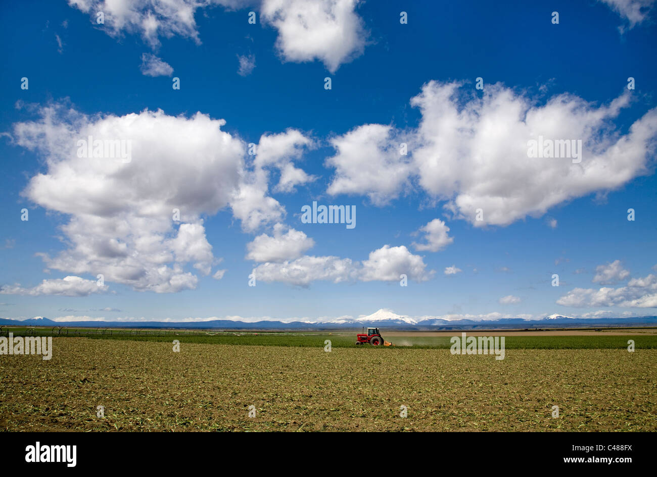 A farm growing garlic and other crops near Madras, Oregon, with Mount