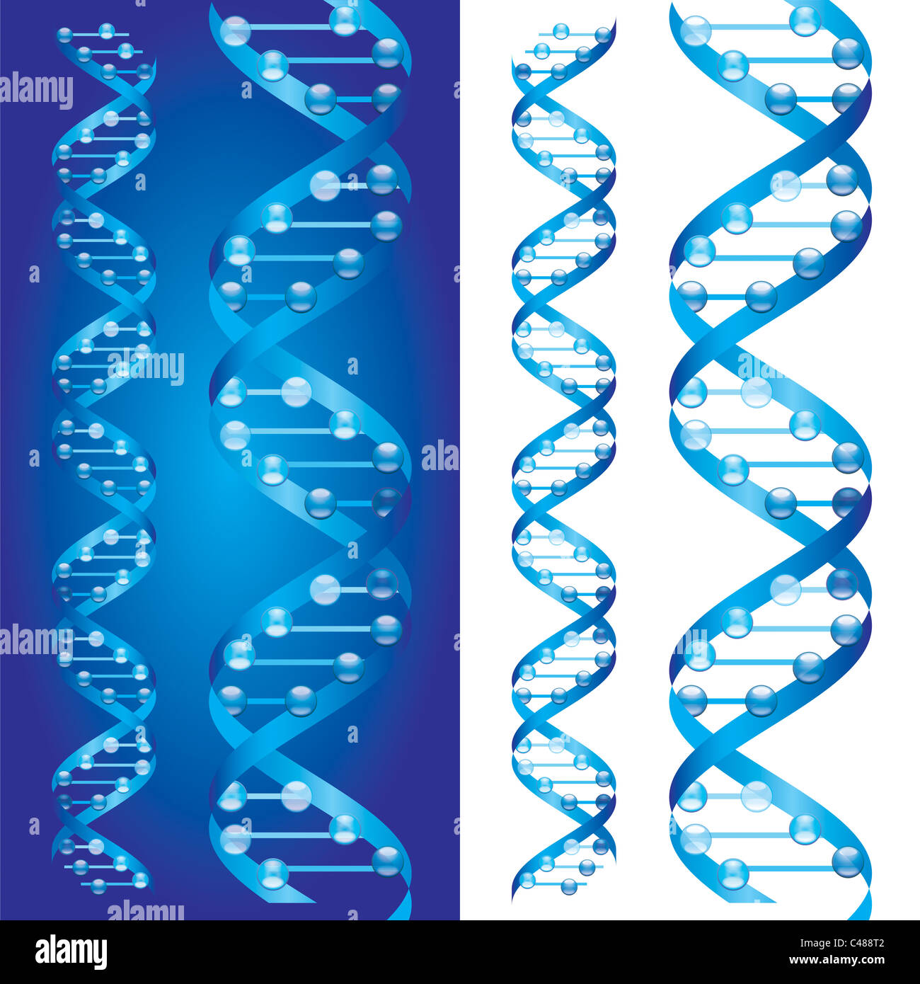 Blueprint D.N.A. chains Stock Photo - Alamy