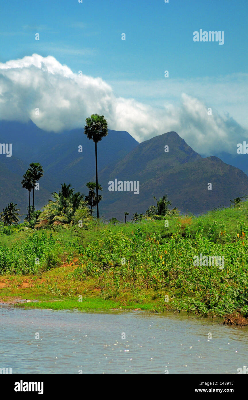 Western ghats in India with thick vegetation Stock Photo