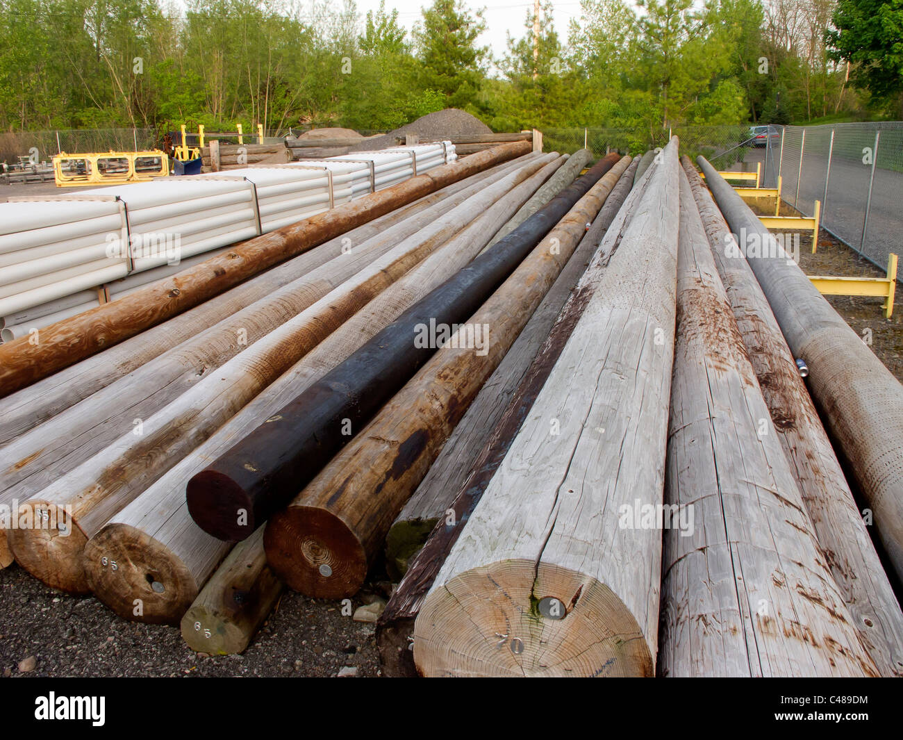 Municipal storage for telephone poles Stock Photo Alamy