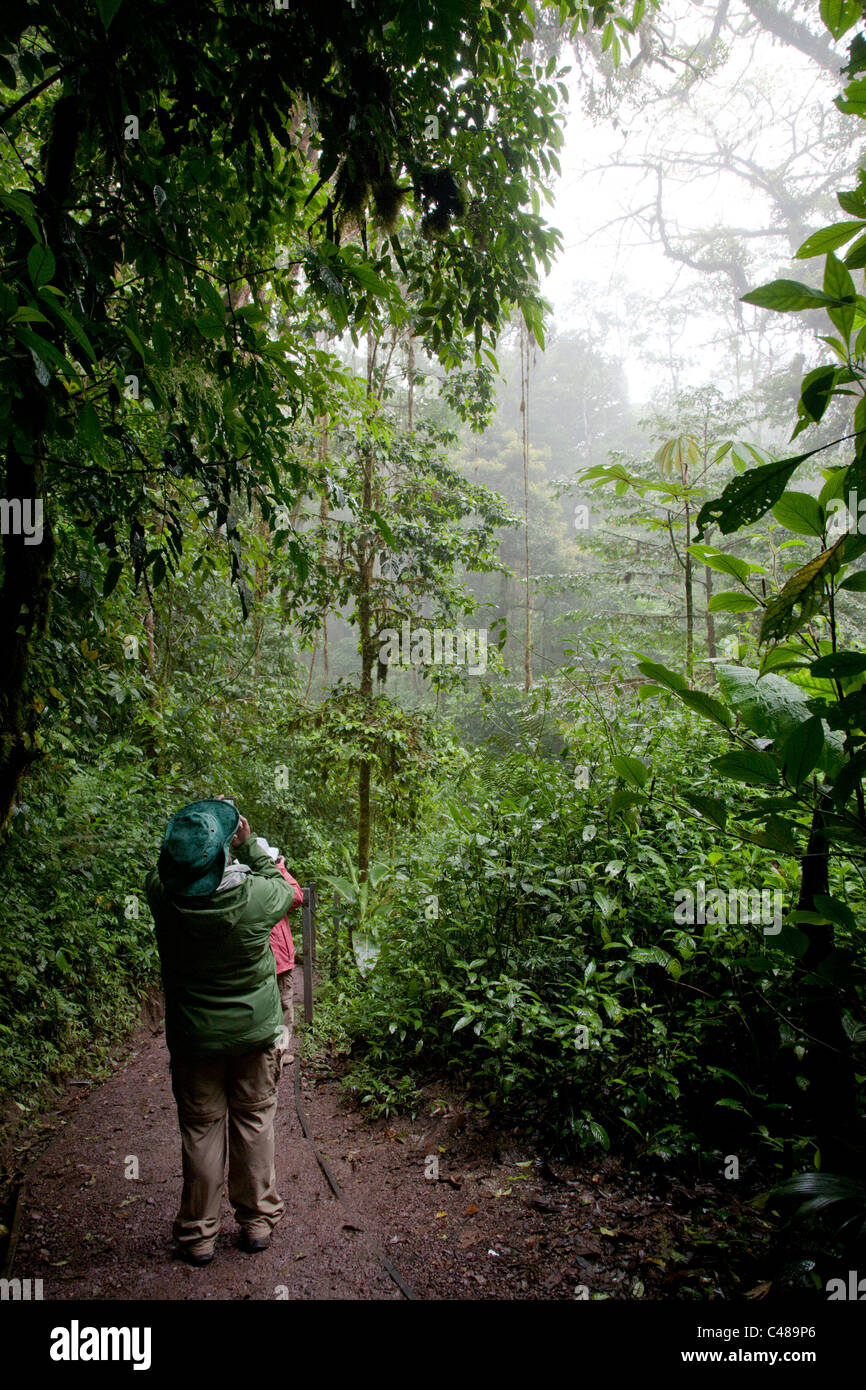 Monteverde Cloud Forest Preserve. Costa Rica Stock Photo