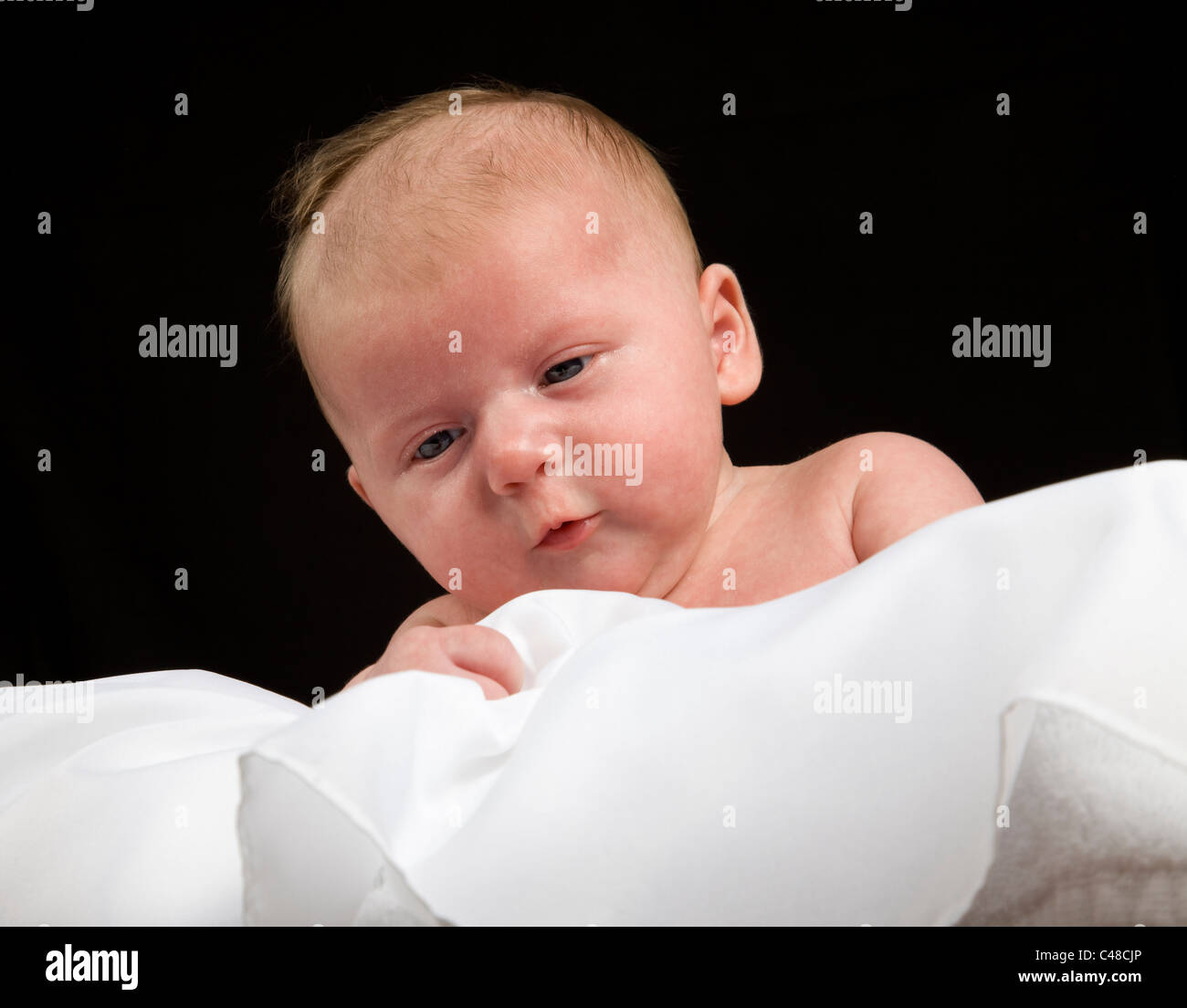 Kleinkind, Baby, Mädchen, 5 Wochen alt, Stock Photo