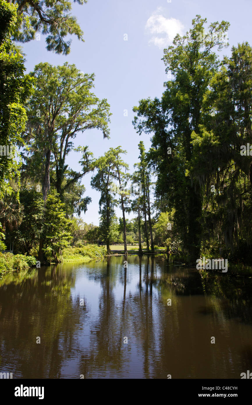 Pond and Bald Cypress trees in the gardens at Magnolia Plantation