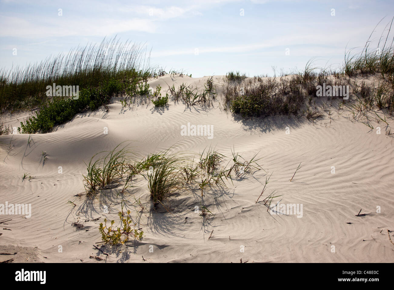 Beautiful sandy beach on Seabrook Island, near Charleston, South Carolina, USA Stock Photo
