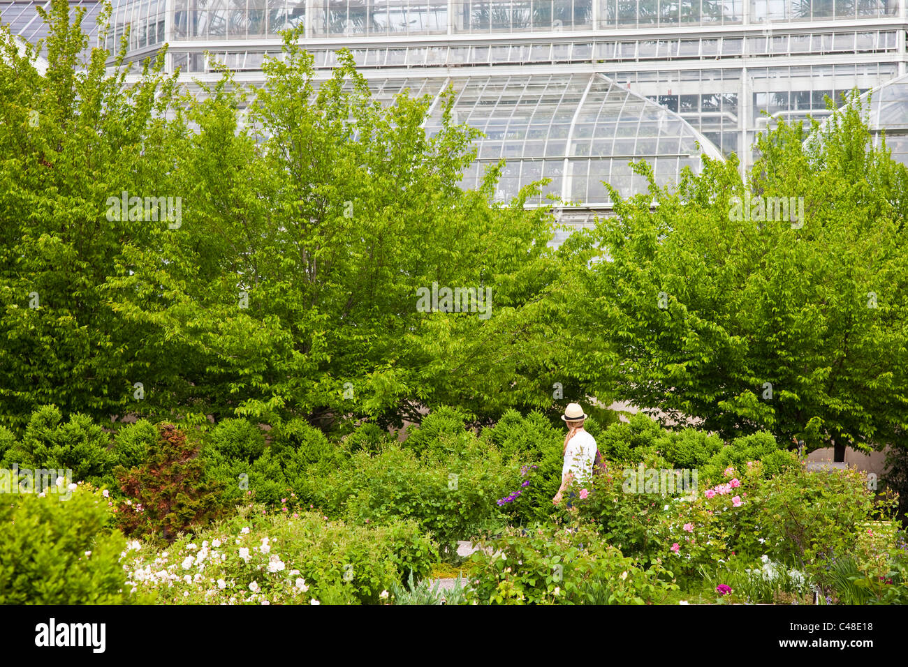 United States Botanic Garden Conservatory, Washington DC Stock Photo
