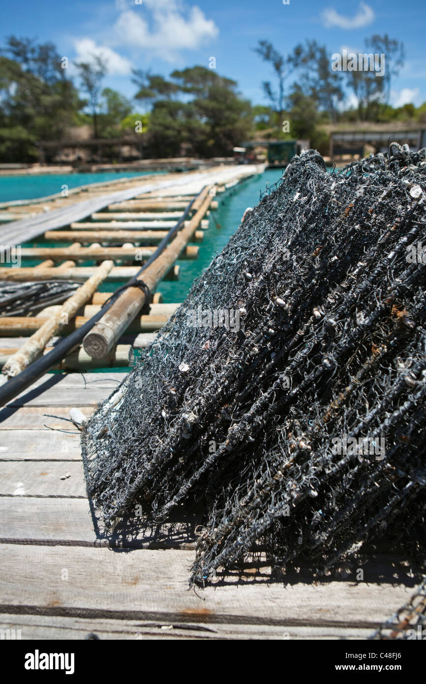 Pearl oyster cages at Kazu Pearls pearl farm.  Friday Island, Torres Strait Islands, Queensland, Australia Stock Photo