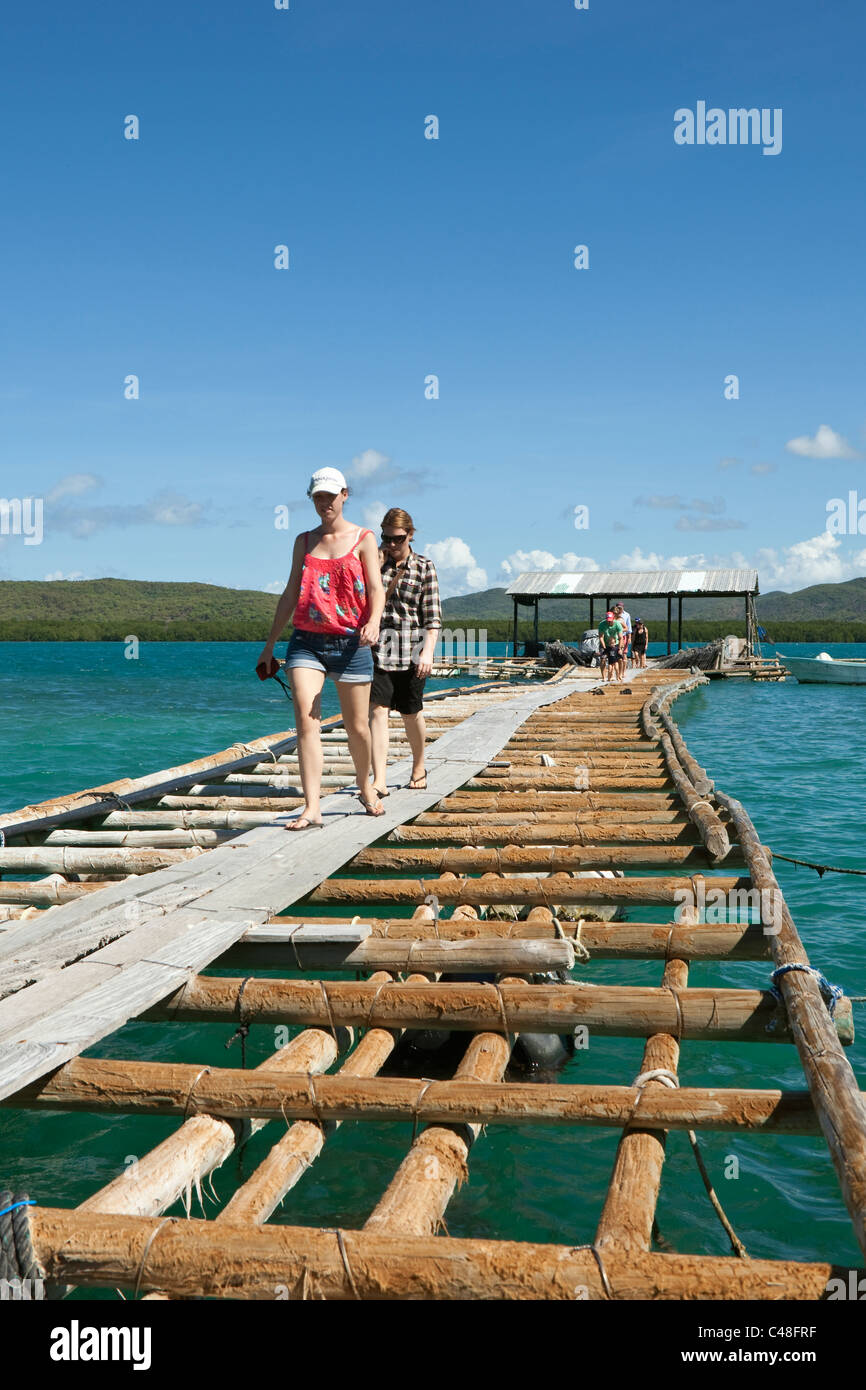 Tourists on the jetty at Kazu Pearls.  Friday Island, Torres Strait Islands, Queensland, Australia Stock Photo
