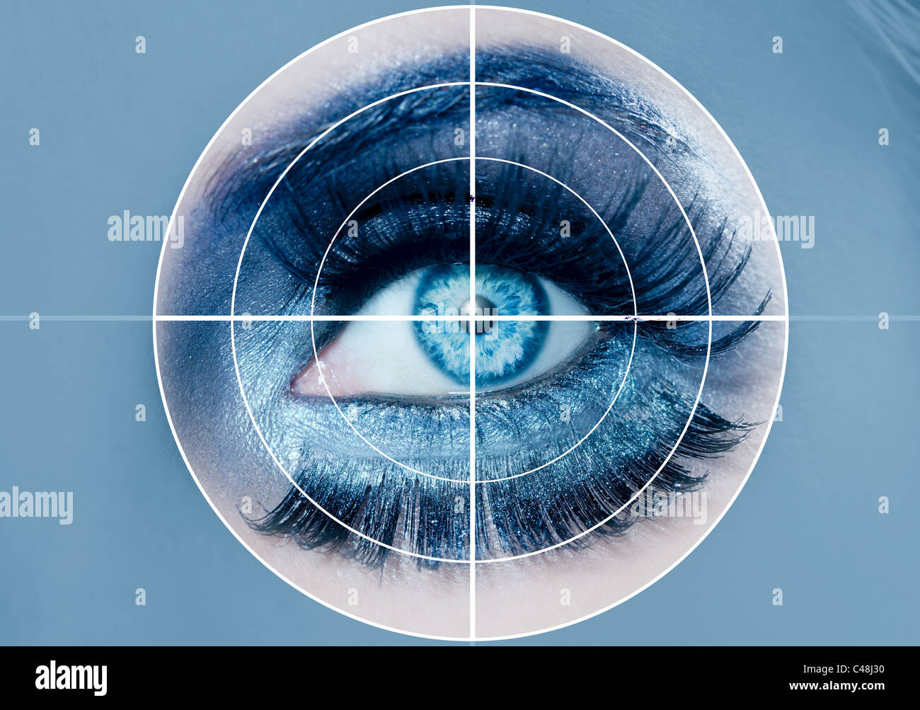 Blue Eye Security Systems