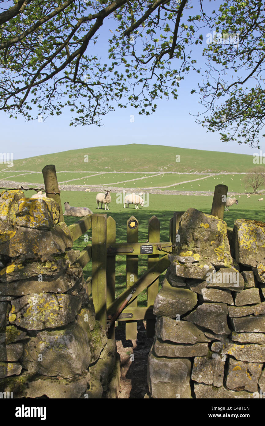 A gate at Gratton Hill, Staffordshire, Peak District National Park, England, UK Stock Photo