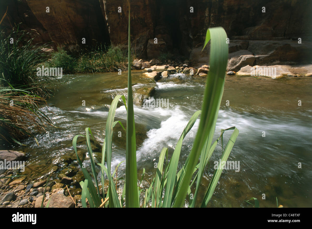 View of the Arnon stream Stock Photo