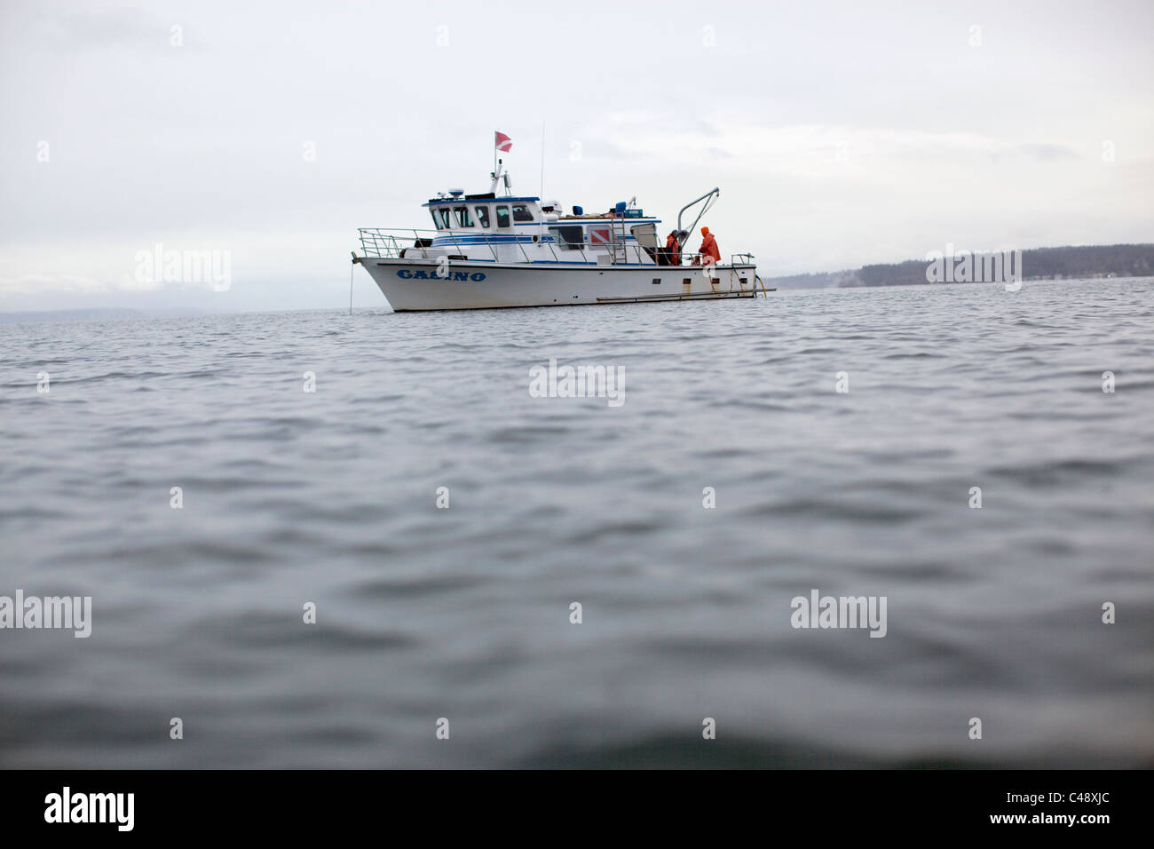 geo duck diving wa geo duck diving wa