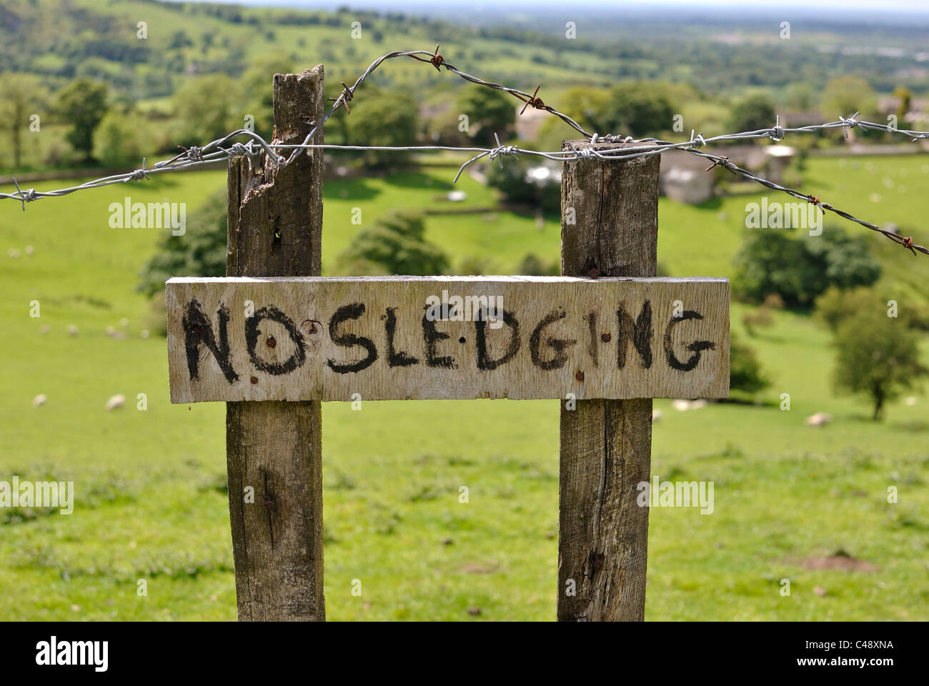 A hand-painted “No sledging” sign against a background of sunny green
