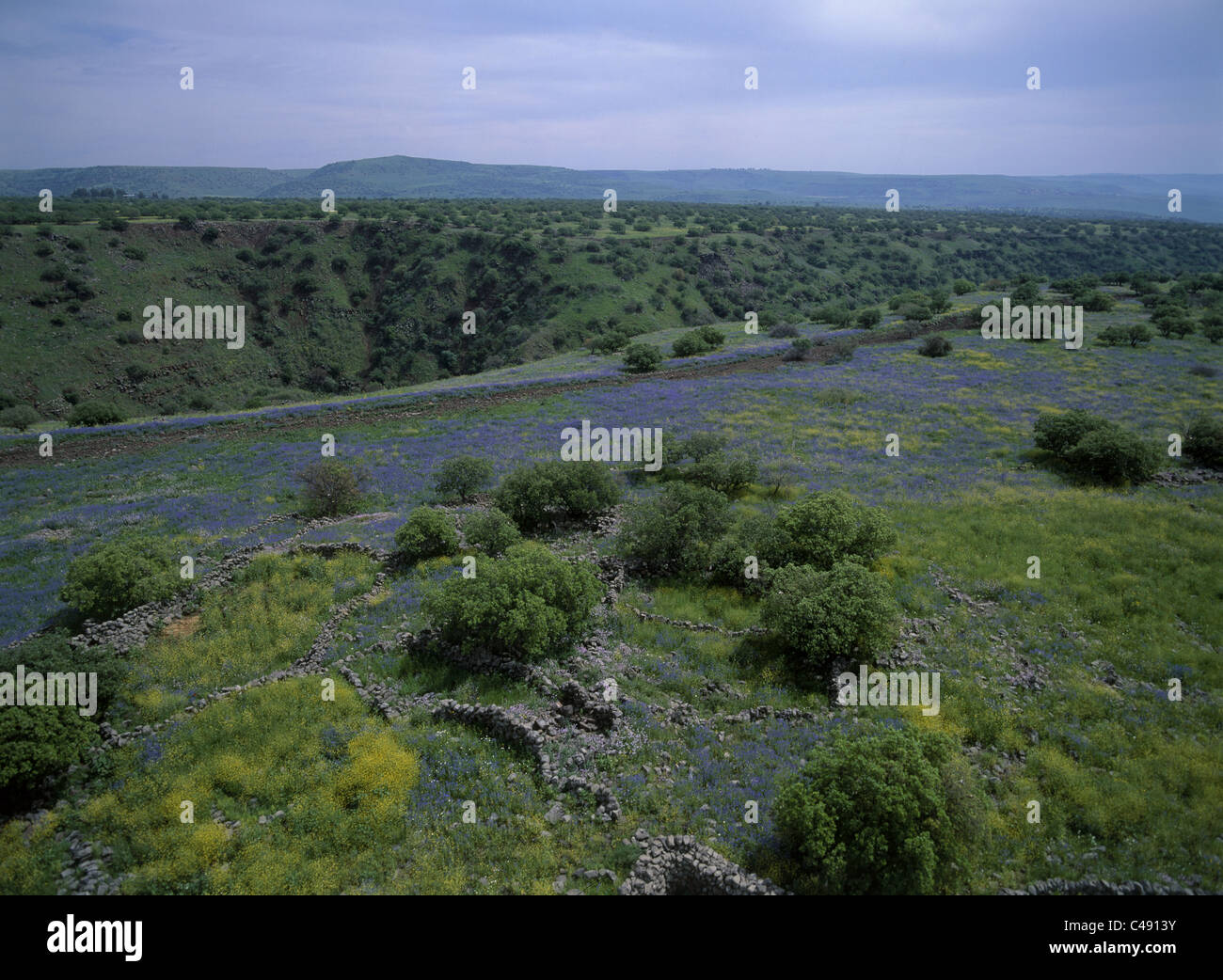 Aerial photograph of the Yehudiya stream in the Northern Golan Heights Stock Photo