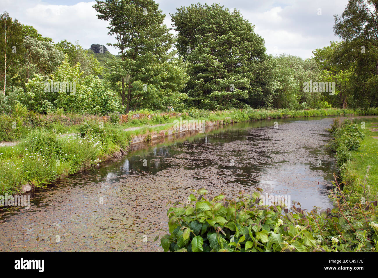 Cromford Canal, Derbyshire, England Stock Photo