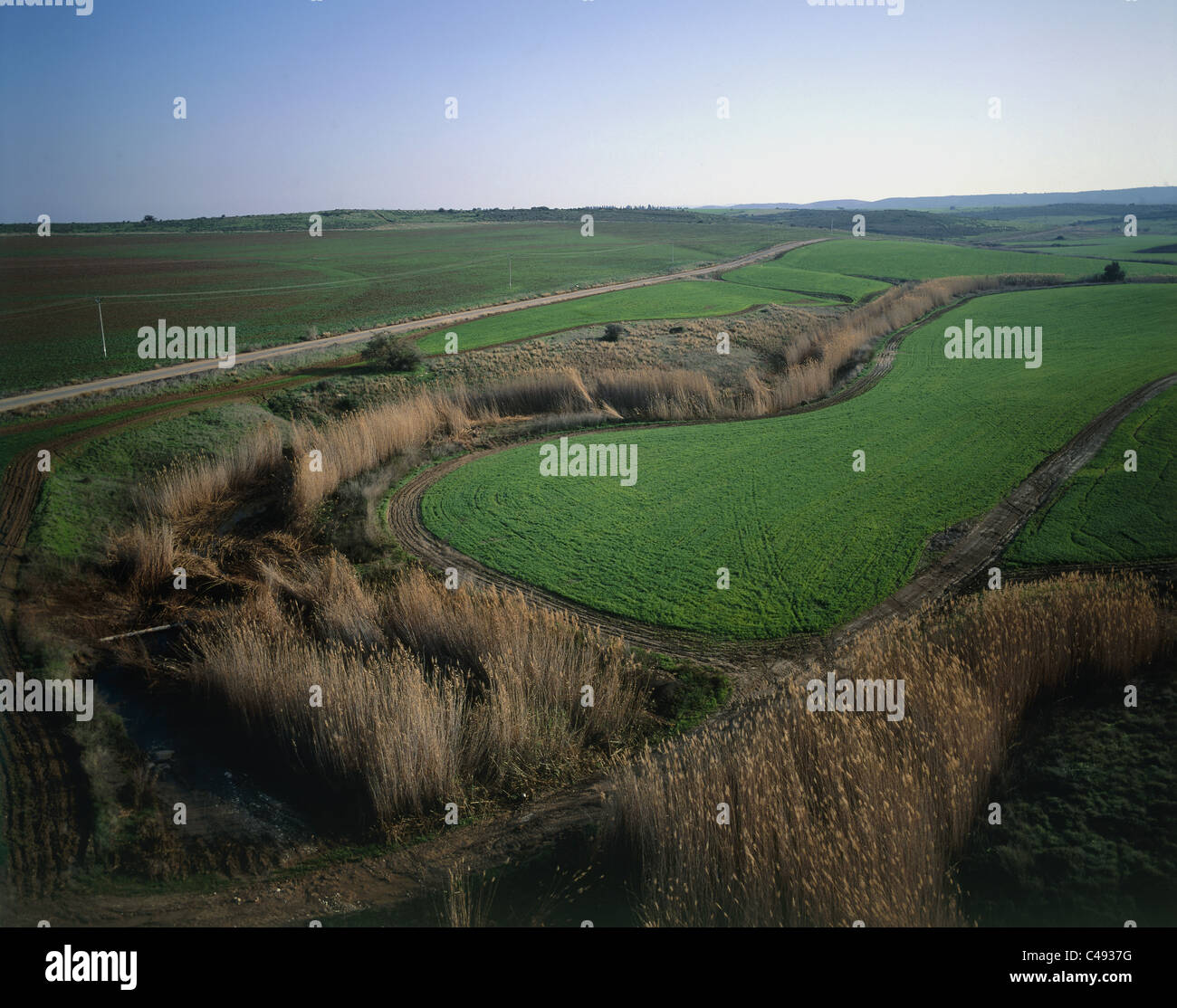 Aerial photograph of the water plants of the Govrin stream in the Plain Stock Photo