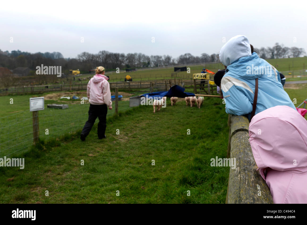 Pig racing hires stock photography and images Alamy