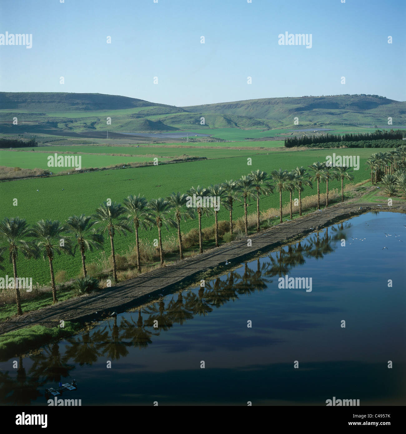 Aerial photograph of green fields in the Jordan valley Stock Photo Alamy