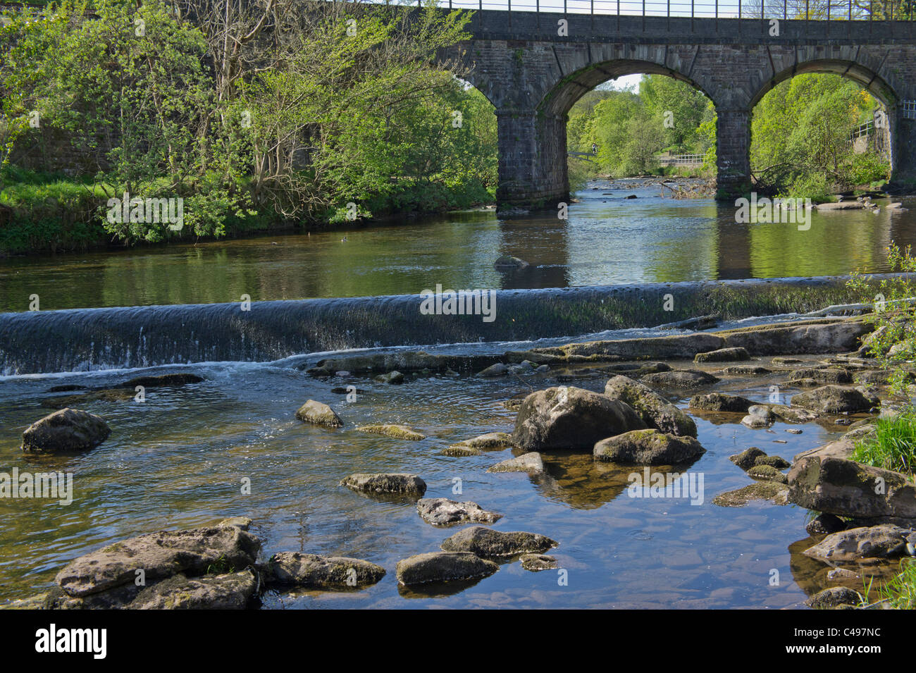 River Allan at Dunblane Stock Photo