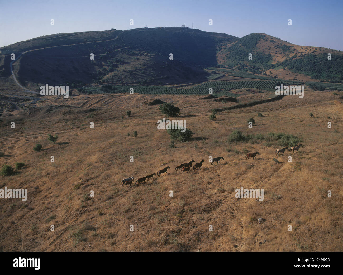 Aerial photograph of Bental mountain in the northern Golan Heights ...