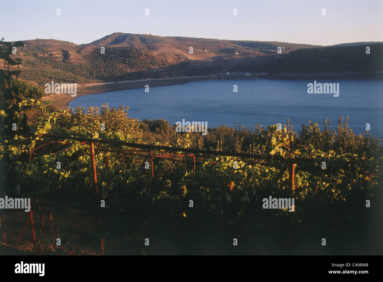 Photograph of Ram's pool in the northern Golan Heights Stock Photo