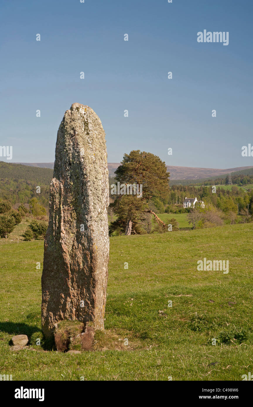 The middle Neolithic Standing Stone one of three at Ballintomb Farm, Dulnain Bridge, Strathspey, Moray, Scotland. SCO 7118 Stock Photo
