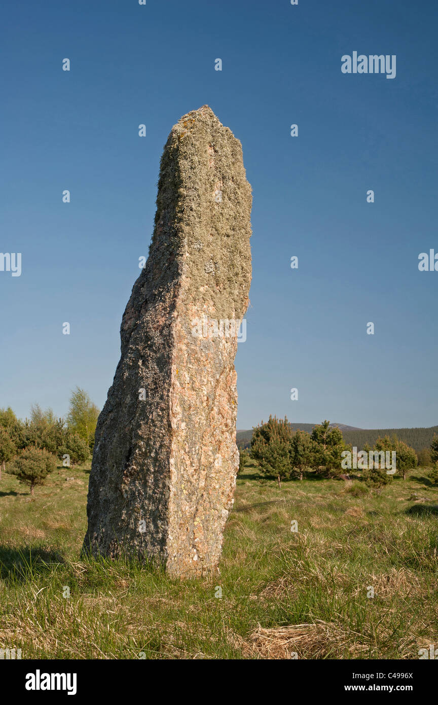 The middle Standing Stone one of three of the Tom Nan Carragh group near Grantown on Spey, Moray. Scotland.  SCO 7113. Stock Photo