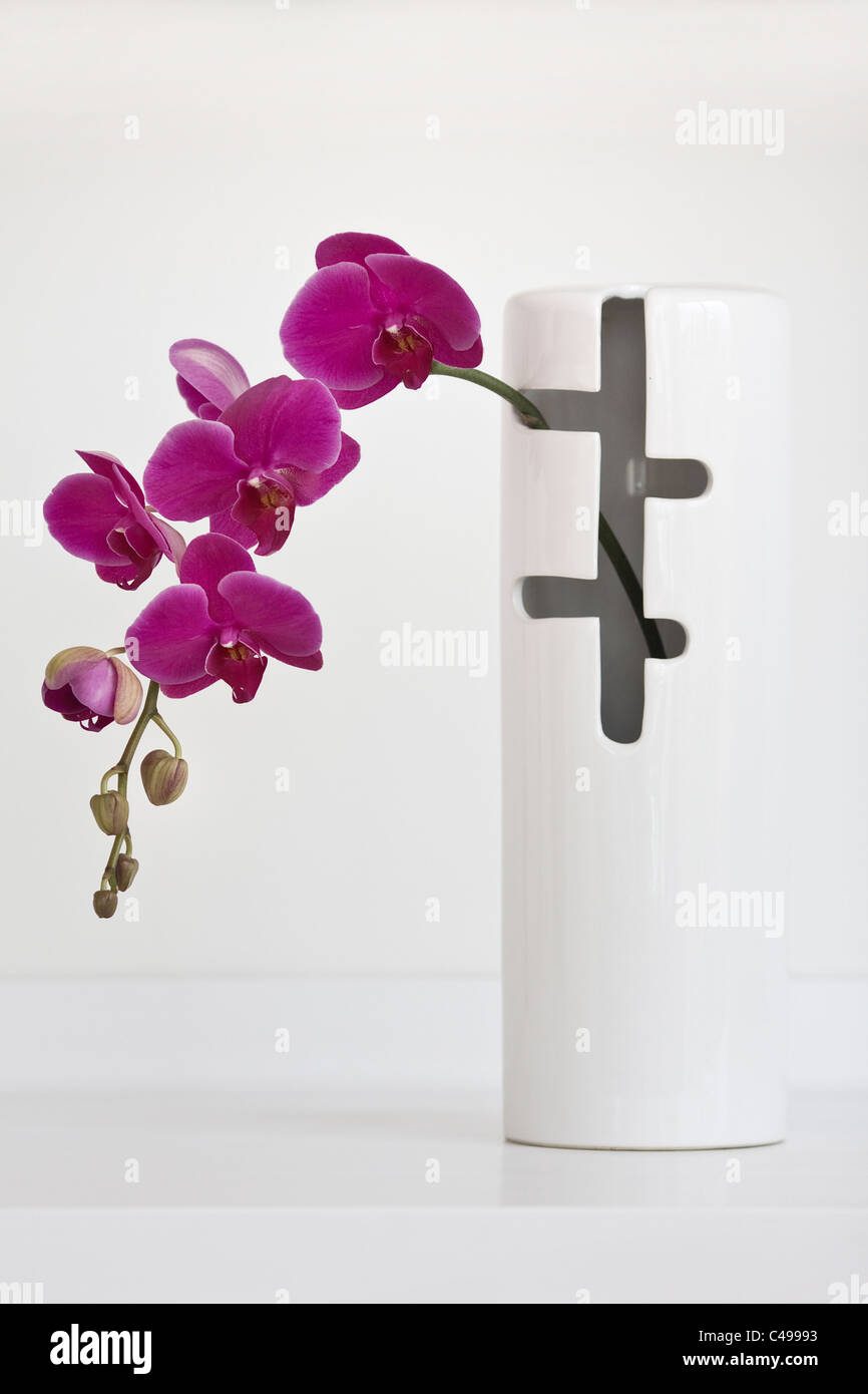 Vase of pink orchids hi-res stock photography and images - Alamy