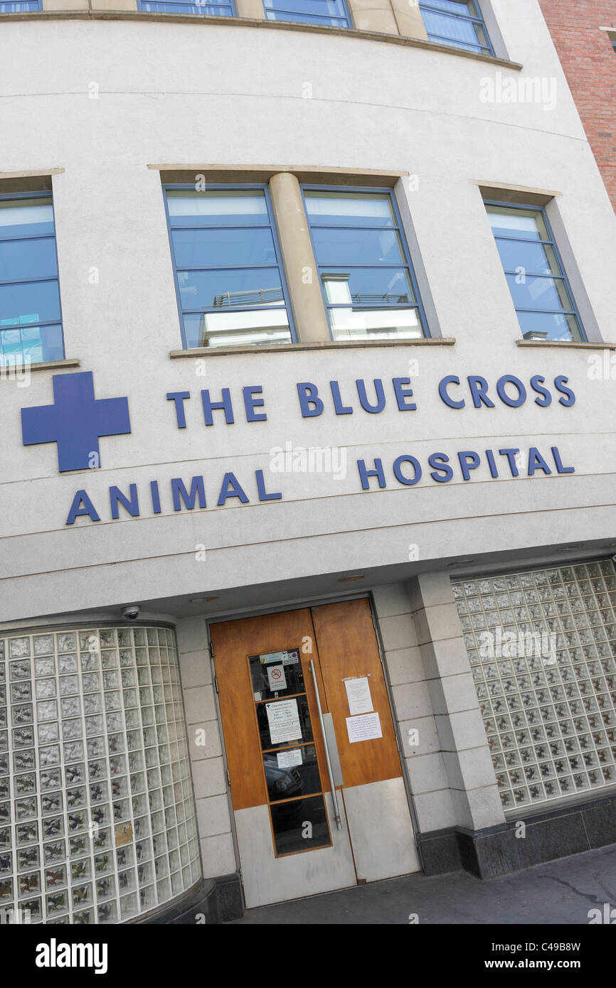 The Blue Cross Animal Hospital in Hugh Street, Victoria, London Stock Photo Alamy