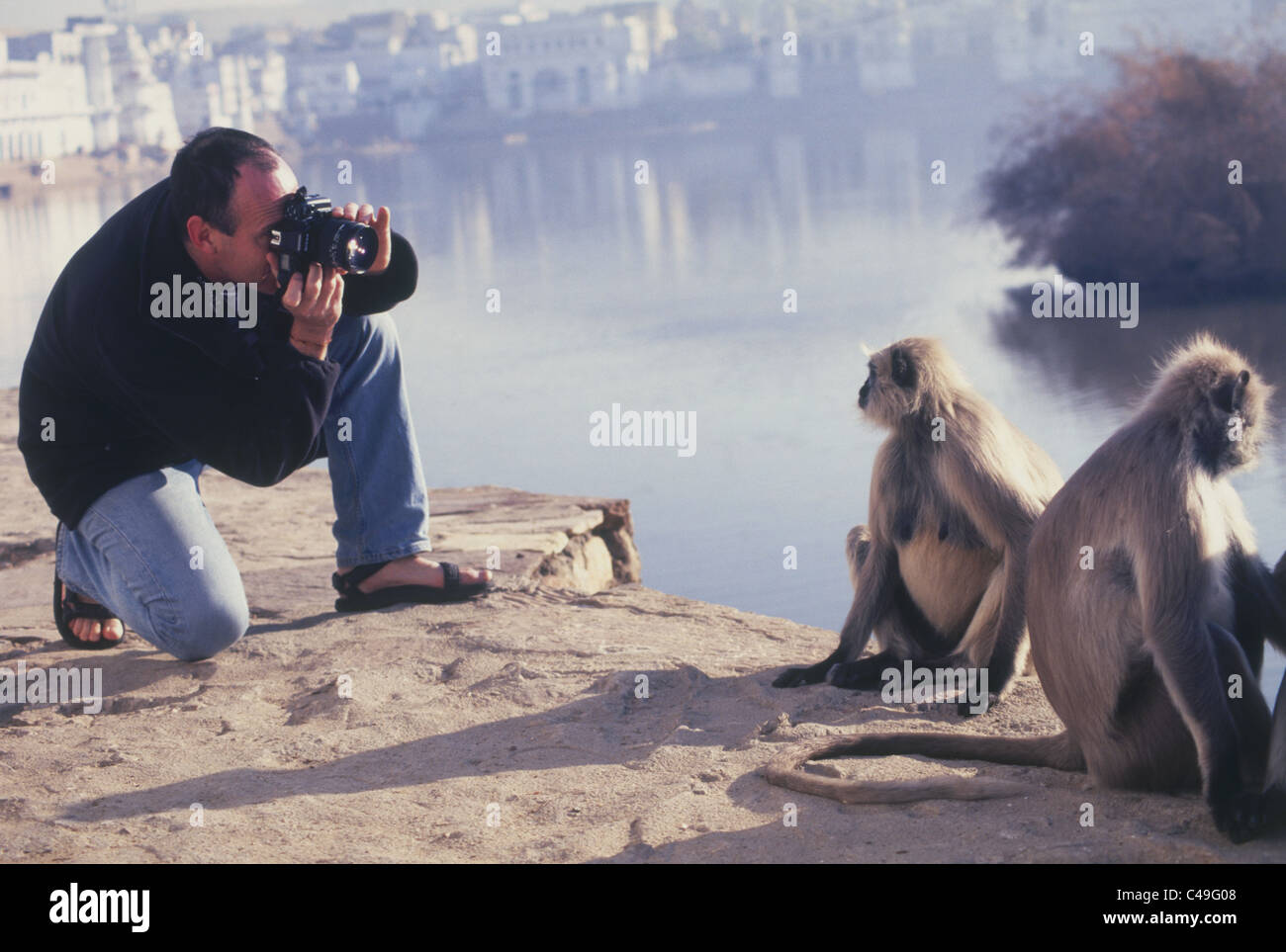 Photographer taking pictures of monkeys on the water front in Pushkar India Stock Photo
